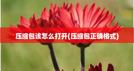 压缩包该怎么打开(压缩包正确格式)