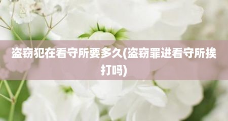 盗窃犯在看守所要多久(盗窃罪进看守所挨打吗)