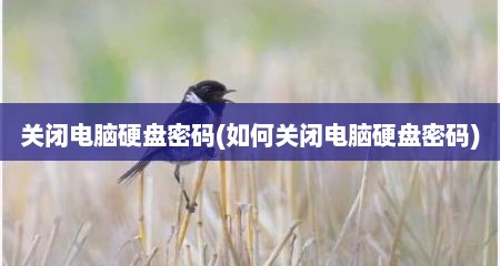 关闭电脑硬盘密码(如何关闭电脑硬盘密码)