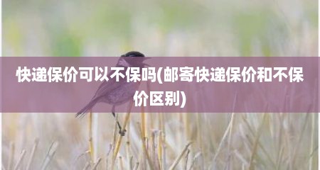 快递保价可以不保吗(邮寄快递保价和不保价区别)