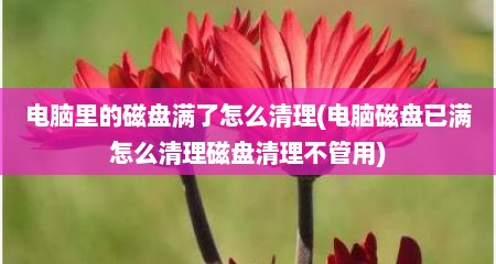 电脑里的磁盘满了怎么清理(电脑磁盘已满怎么清理磁盘清理不管用)