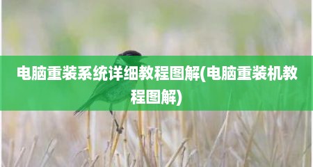 电脑重装系统详细教程图解(电脑重装机教程图解)