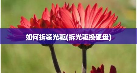 如何拆装光驱(拆光驱换硬盘)