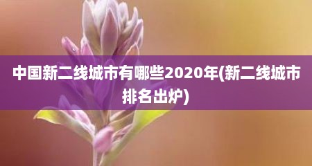 中国新二线城市有哪些2020年(新二线城市排名出炉)