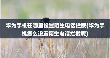 华为手机在哪里设置陌生电话拦截(华为手机怎么设置陌生电话拦截呢)