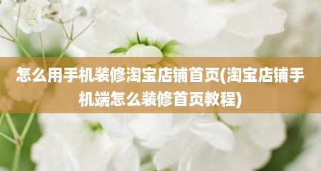 怎么用手机装修淘宝店铺首页(淘宝店铺手机端怎么装修首页教程)