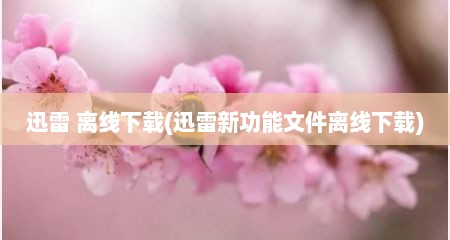 迅雷 离线下载(迅雷新功能文件离线下载)