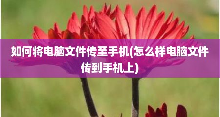 如何将电脑文件传至手机(怎么样电脑文件传到手机上)