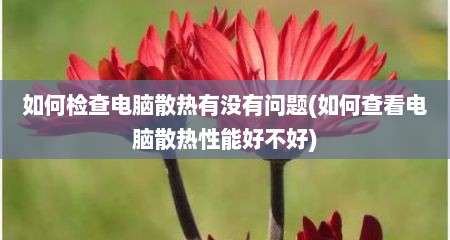 如何检查电脑散热有没有问题(如何查看电脑散热性能好不好)