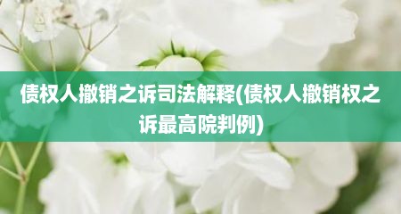 债权人撤销之诉司法解释(债权人撤销权之诉最高院判例)