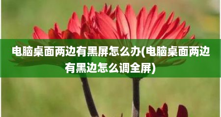 电脑桌面两边有黑屏怎么办(电脑桌面两边有黑边怎么调全屏)