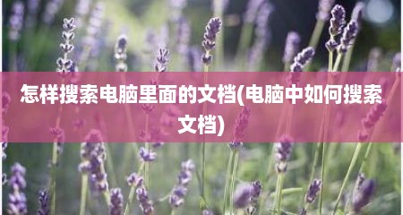 怎样搜索电脑里面的文档(电脑中如何搜索文档)