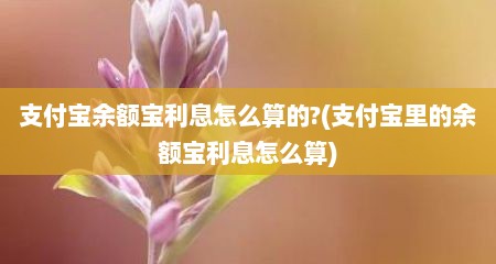 支付宝余额宝利息怎么算的?(支付宝里的余额宝利息怎么算)