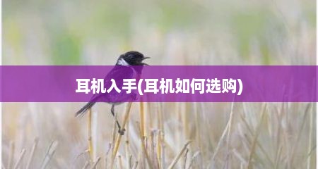 耳机入手(耳机如何选购)