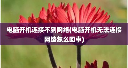 电脑开机连接不到网络(电脑开机无法连接网络怎么回事)