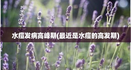 水痘发病高峰期(最近是水痘的高发期)