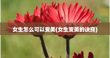 女生怎么可以变美(女生变美的诀窍)