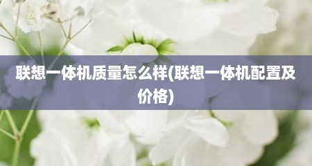 联想一体机质量怎么样(联想一体机配置及价格)