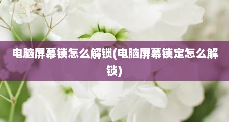 电脑屏幕锁怎么解锁(电脑屏幕锁定怎么解锁)