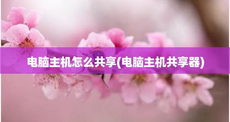 电脑主机怎么共享(电脑主机共享器)