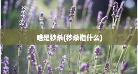 啥是秒杀(秒杀指什么)