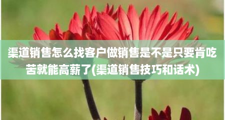 渠道销售怎么找客户做销售是不是只要肯吃苦就能高薪了(渠道销售技巧和话术)