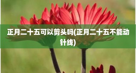 正月二十五可以剪头吗(正月二十五不能动针线)