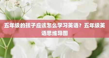 五年级的孩子应该怎么学习英语？五年级英语思维导图