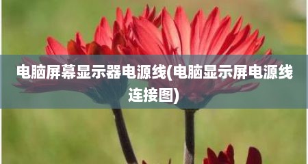 电脑屏幕显示器电源线(电脑显示屏电源线连接图)