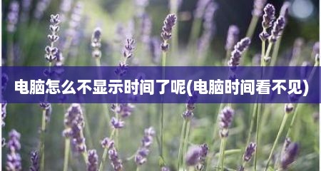 电脑怎么不显示时间了呢(电脑时间看不见)