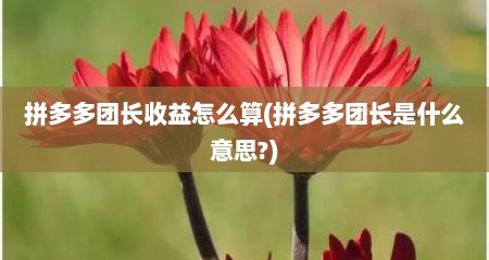 拼多多团长收益怎么算(拼多多团长是什么意思?)