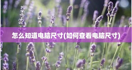 怎么知道电脑尺寸(如何查看电脑尺寸)