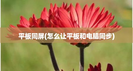 平板同屏(怎么让平板和电脑同步)