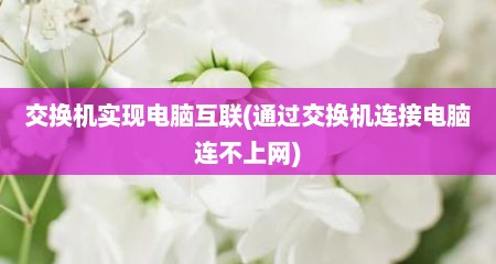 交换机实现电脑互联(通过交换机连接电脑连不上网)