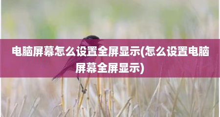 电脑屏幕怎么设置全屏显示(怎么设置电脑屏幕全屏显示)