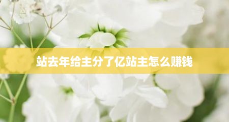 站去年给主分了亿站主怎么赚钱