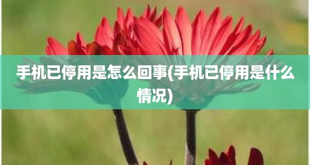 手机已停用是怎么回事(手机已停用是什么情况)