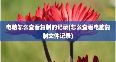 电脑怎么查看复制的记录(怎么查看电脑复制文件记录)