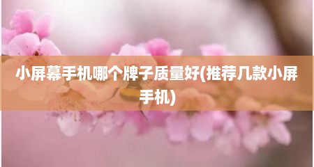 小屏幕手机哪个牌子质量好(推荐几款小屏手机)