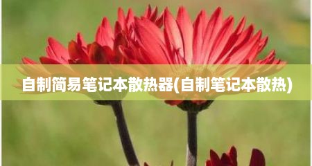 自制简易笔记本散热器(自制笔记本散热)