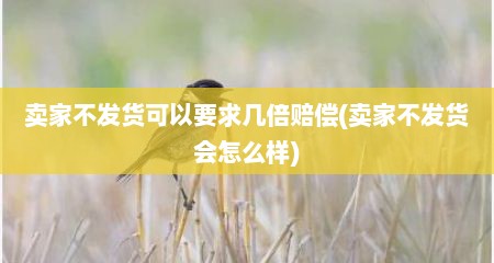 卖家不发货可以要求几倍赔偿(卖家不发货会怎么样)