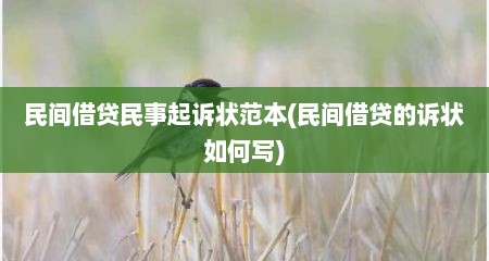 民间借贷民事起诉状范本(民间借贷的诉状如何写)