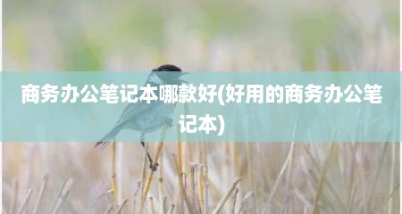 商务办公笔记本哪款好(好用的商务办公笔记本)