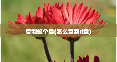 复制整个盘(怎么复制d盘)