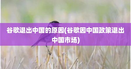 谷歌退出中国的原因(谷歌因中国政策退出中国市场)