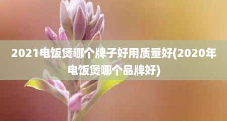 2021电饭煲哪个牌子好用质量好(2020年电饭煲哪个品牌好)