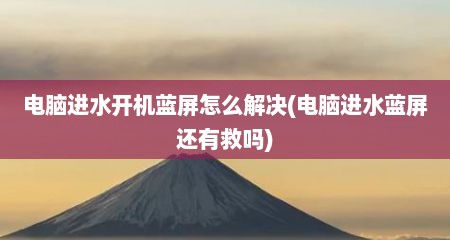 电脑进水开机蓝屏怎么解决(电脑进水蓝屏还有救吗)