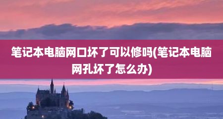 笔记本电脑网口坏了可以修吗(笔记本电脑网孔坏了怎么办)