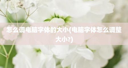 怎么调电脑字体的大小(电脑字体怎么调整大小?)