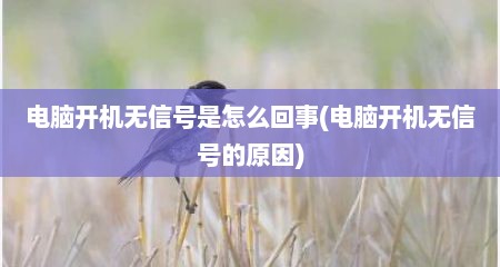 电脑开机无信号是怎么回事(电脑开机无信号的原因)